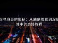 探寻麻豆的奥秘：从随便看看到深陷其中的奇妙旅程