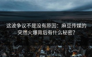 这波争议不是没有原因：麻豆传媒的突然火爆背后有什么秘密？