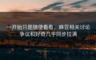 一开始只是随便看看，麻豆相关讨论争议和好奇几乎同步拉满