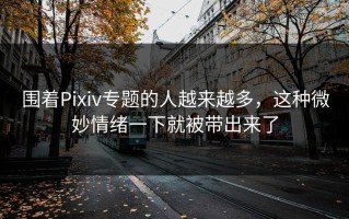 围着Pixiv专题的人越来越多，这种微妙情绪一下就被带出来了