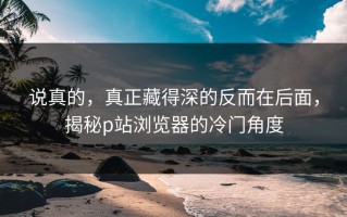 说真的，真正藏得深的反而在后面，揭秘p站浏览器的冷门角度