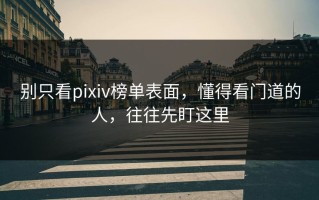 别只看pixiv榜单表面，懂得看门道的人，往往先盯这里
