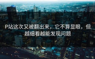 P站这次又被翻出来，它不算显眼，但越细看越能发现问题
