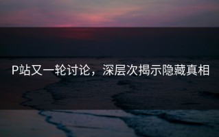 P站又一轮讨论，深层次揭示隐藏真相