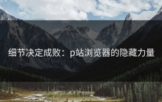 细节决定成败：p站浏览器的隐藏力量