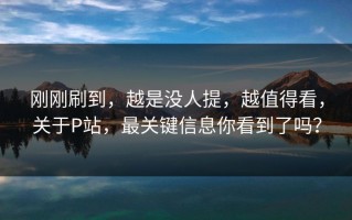 刚刚刷到，越是没人提，越值得看，关于P站，最关键信息你看到了吗？