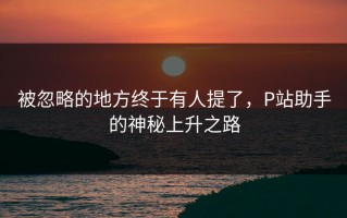 被忽略的地方终于有人提了，P站助手的神秘上升之路