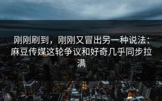 刚刚刷到，刚刚又冒出另一种说法：麻豆传媒这轮争议和好奇几乎同步拉满