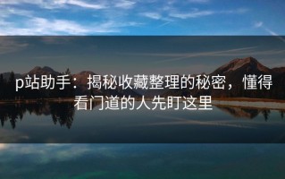 p站助手：揭秘收藏整理的秘密，懂得看门道的人先盯这里