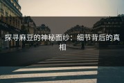 探寻麻豆的神秘面纱：细节背后的真相
