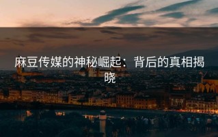 麻豆传媒的神秘崛起：背后的真相揭晓