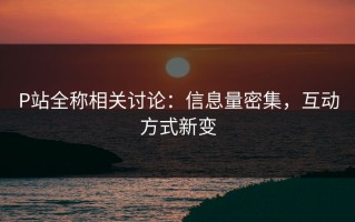 P站全称相关讨论：信息量密集，互动方式新变