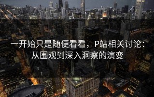 一开始只是随便看看，P站相关讨论：从围观到深入洞察的演变