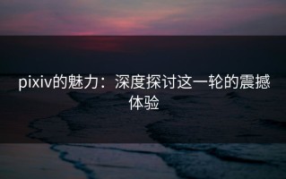 pixiv的魅力：深度探讨这一轮的震撼体验