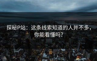 探秘P站：这条线索知道的人并不多，你能看懂吗？