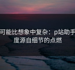 事情可能比想象中复杂：p站助手的热度源自细节的点燃