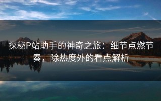 探秘P站助手的神奇之旅：细节点燃节奏，除热度外的看点解析