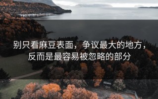 别只看麻豆表面，争议最大的地方，反而是最容易被忽略的部分