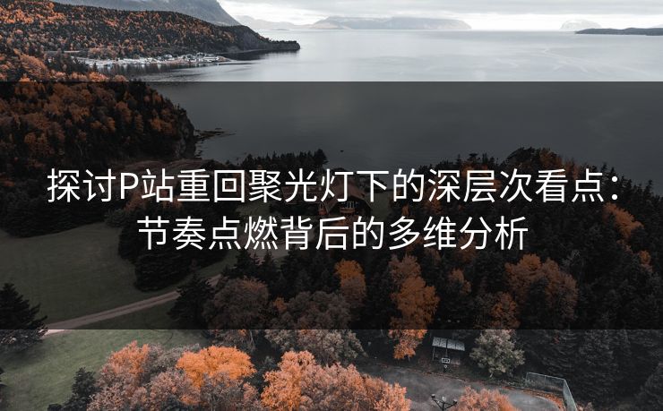 探讨P站重回聚光灯下的深层次看点：节奏点燃背后的多维分析-第1张图片-p站网页版视频站 | p站镜像资源页