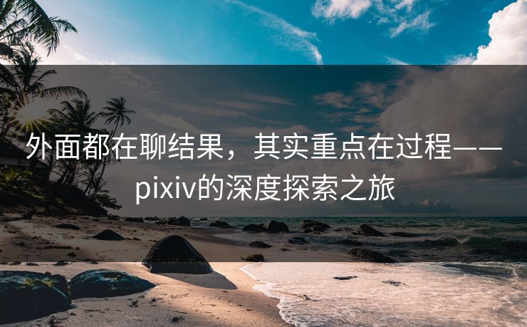 外面都在聊结果，其实重点在过程——pixiv的深度探索之旅-第1张图片-p站网页版视频站 | p站镜像资源页