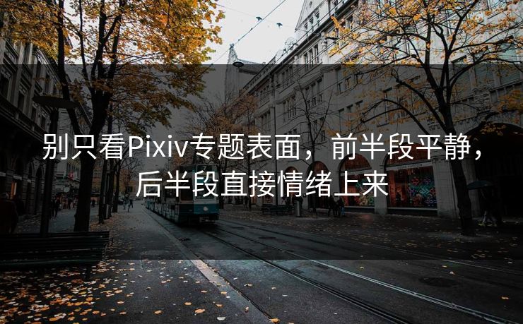 别只看Pixiv专题表面，前半段平静，后半段直接情绪上来-第1张图片-p站网页版视频站 | p站镜像资源页