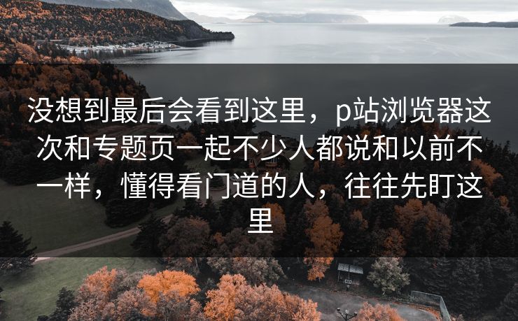 没想到最后会看到这里，p站浏览器这次和专题页一起不少人都说和以前不一样，懂得看门道的人，往往先盯这里-第1张图片-p站网页版视频站 | p站镜像资源页
