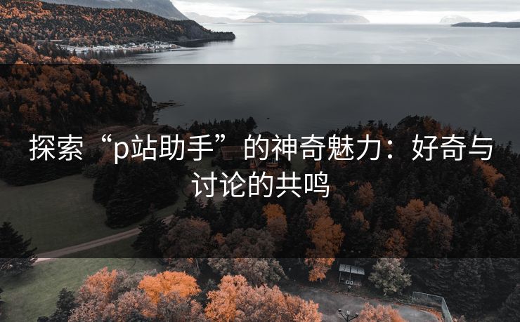 探索“p站助手”的神奇魅力：好奇与讨论的共鸣-第1张图片-p站网页版视频站 | p站镜像资源页