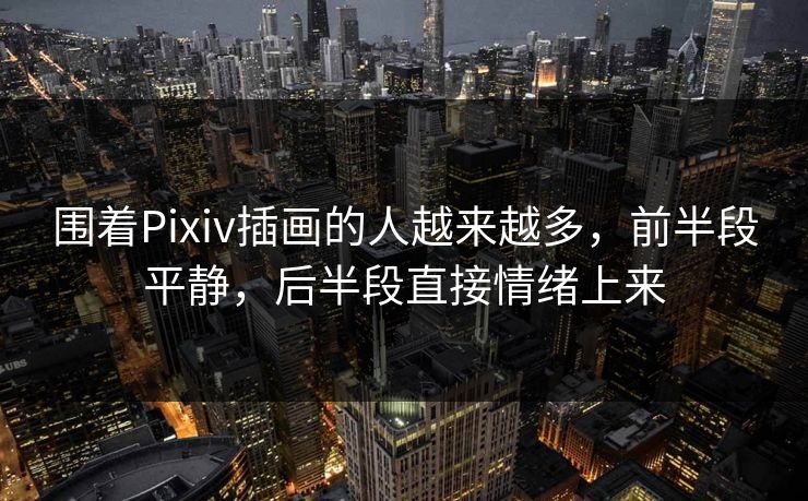 围着Pixiv插画的人越来越多，前半段平静，后半段直接情绪上来-第1张图片-p站网页版视频站 | p站镜像资源页