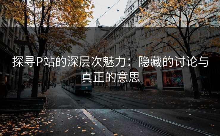 探寻P站的深层次魅力：隐藏的讨论与真正的意思-第1张图片-p站网页版视频站 | p站镜像资源页