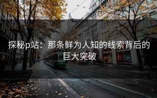 探秘p站：那条鲜为人知的线索背后的巨大突破