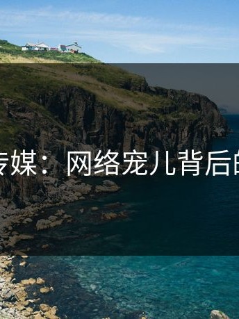 麻豆传媒：网络宠儿背后的故事