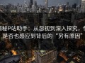 揭秘P站助手：从忽视到深入探究，你是否也感应到背后的“另有原因”