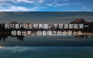 别只看P站全称表面，不是谁都能第一眼看出来，但看懂之后会很上头