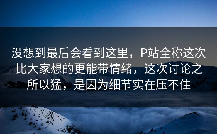 没想到最后会看到这里，P站全称这次比大家想的更能带情绪，这次讨论之所以猛，是因为细节实在压不住